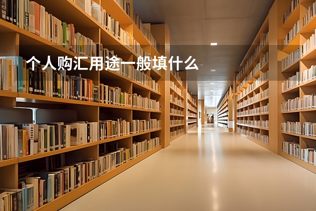 个人购汇用途一般填什么