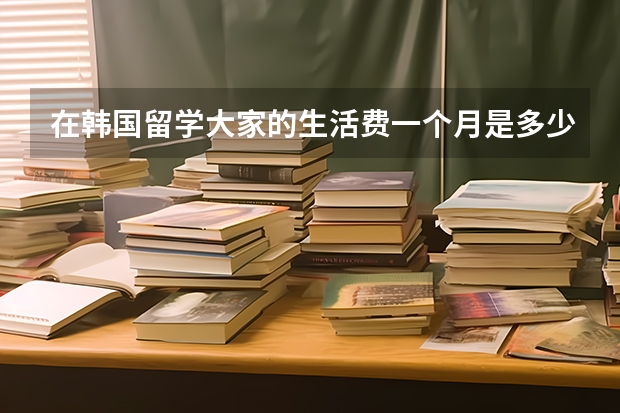 在韩国留学大家的生活费一个月是多少钱?