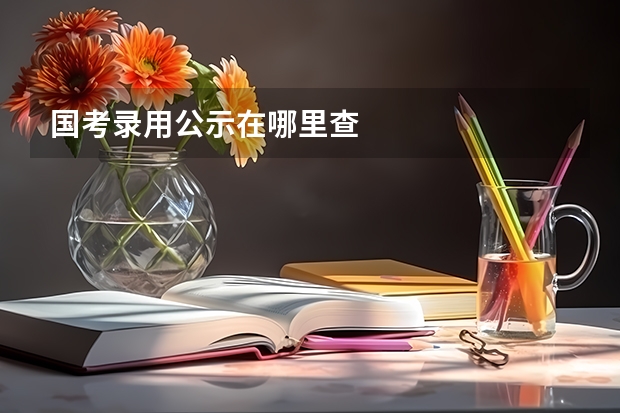 国考录用公示在哪里查