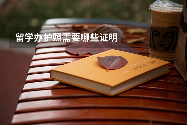 留学办护照需要哪些证明