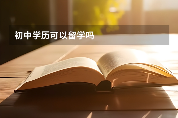 初中学历可以留学吗