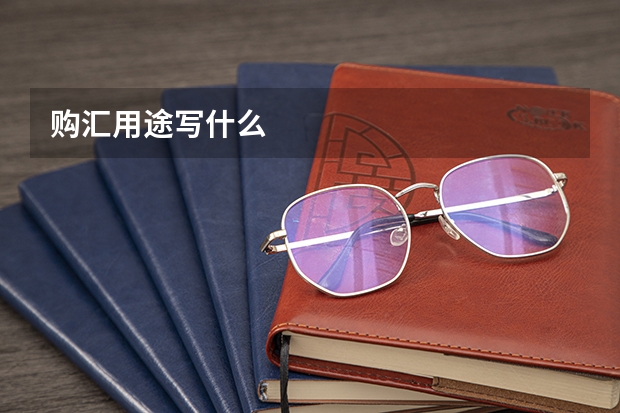 购汇用途写什么