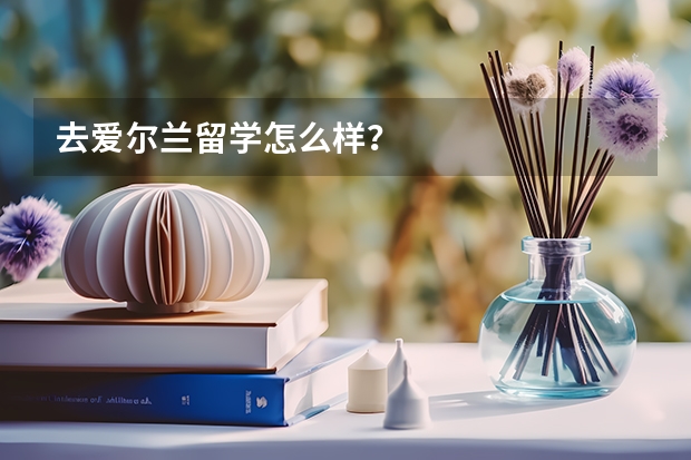 去爱尔兰留学怎么样？