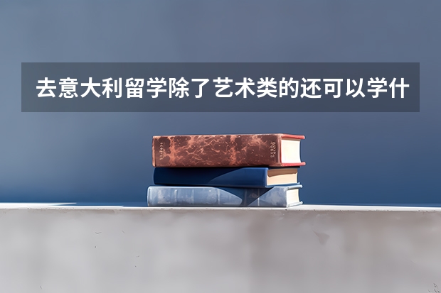 去意大利留学除了艺术类的还可以学什么,得到国内认可的