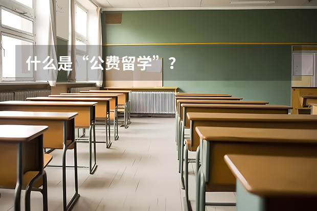 什么是“公费留学”？