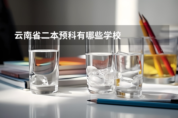 云南省二本预科有哪些学校